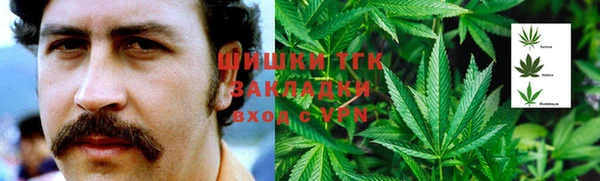стаф Богородицк