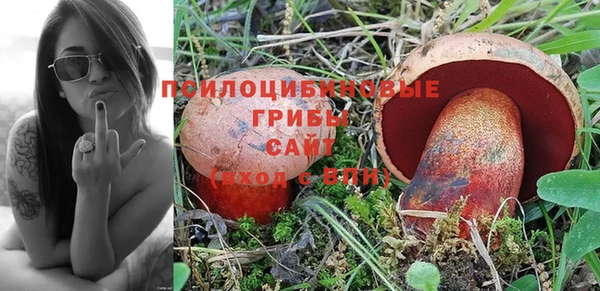 ГАЛЛЮЦИНОГЕННЫЕ ГРИБЫ Балахна
